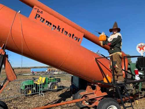 A person in a scarecrow costume holds a pumpkin next to a large orange pumpkin cannon at a farm.