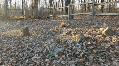 A serene, wooded area with scattered gravestones among fallen leaves and a wooden fence in the background.