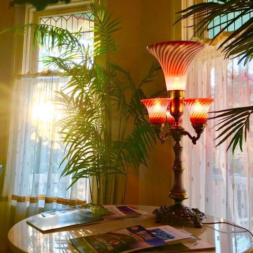 A vintage lamp casts warm light in a cozy room with plants and sheer curtains, creating a serene atmosphere.