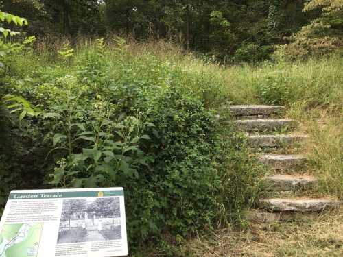 Overgrown steps lead to a garden terrace, with an informational sign in the foreground. Lush greenery surrounds the area.