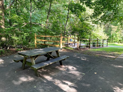 A wooden picnic table sits on a paved area surrounded by lush green trees and a wooden fence in a park setting.