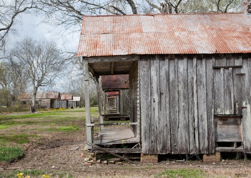 Abandoned wooden cabins with rusted roofs, lined up in a rural area, surrounded by bare trees and sparse grass.