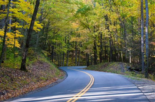 A winding road through a vibrant forest with colorful autumn leaves.