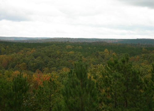 A panoramic view of a lush green forest with hints of autumn colors under a cloudy sky.
