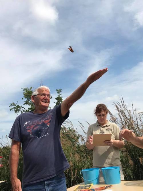 An older man with glasses releases a butterfly from his hand, while a woman observes nearby in a natural setting.