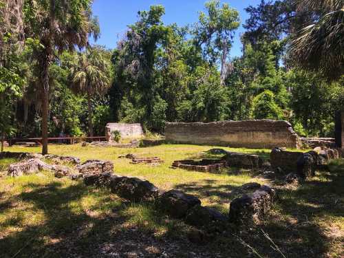 Ruins of an old structure surrounded by lush greenery and trees under a clear blue sky.