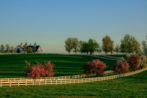 A scenic landscape featuring a house, green hills, and blooming trees along a white fence under a clear blue sky.