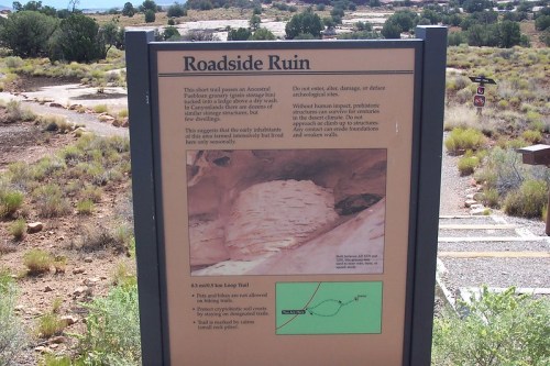 Sign titled "Roadside Ruin" with information about archaeological sites and preservation, set in a desert landscape.