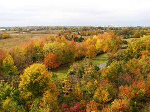 A vibrant autumn landscape featuring trees in shades of orange, yellow, and red, with a winding path through the foliage.