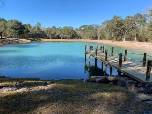 A serene lake with a wooden dock, surrounded by trees and clear blue skies.