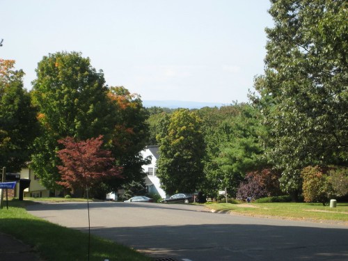 A quiet suburban street lined with trees, showcasing a mix of green and autumn colors in the background.