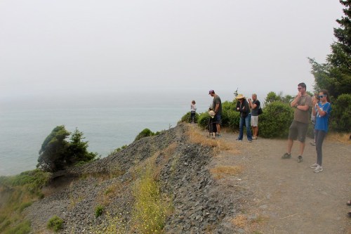 A group of people stands on a rocky path overlooking a foggy ocean view, surrounded by greenery.
