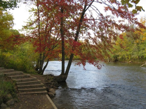 A serene river scene with colorful autumn trees and stone steps leading to the water's edge.