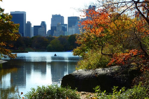 A serene park scene with colorful autumn foliage, a calm lake, and a city skyline in the background.