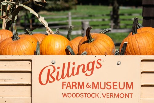 A wooden crate filled with bright orange pumpkins at Billings Farm & Museum in Woodstock, Vermont.