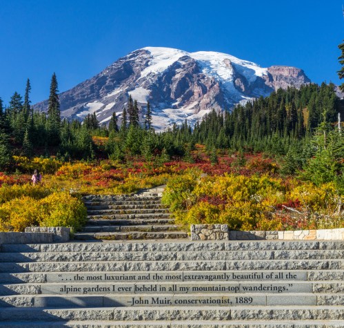A scenic view of colorful alpine gardens with a mountain backdrop and a quote by John Muir inscribed on the steps.