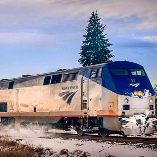 An Amtrak train travels through a snowy landscape, with a tall evergreen tree in the background.