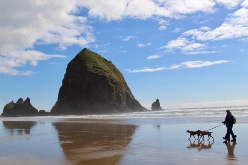 A person walks a dog along a sandy beach with a large rock formation and blue sky in the background.
