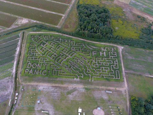 Aerial view of a large maze shaped like a hand, with the text "DON'T PANIC" carved into the greenery.