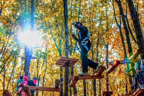 A person navigates a high ropes course among colorful autumn trees, with sunlight shining through the leaves.