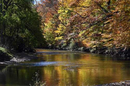 A serene river flows through a forest with vibrant autumn foliage reflecting on the water's surface.