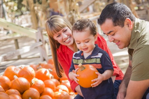 A family sits among pumpkins, with a young boy holding a pumpkin, smiling at his parents.