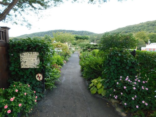 A scenic garden path lined with lush greenery and flowers, leading towards a distant hill under a clear sky.