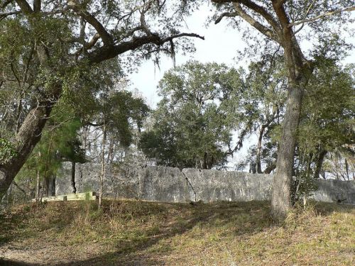 A rocky wall partially hidden by trees in a wooded area, with sunlight filtering through the branches.