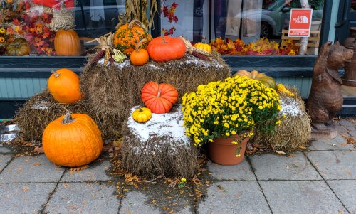 A display of pumpkins and yellow chrysanthemums on hay bales, surrounded by autumn leaves and a bear statue.
