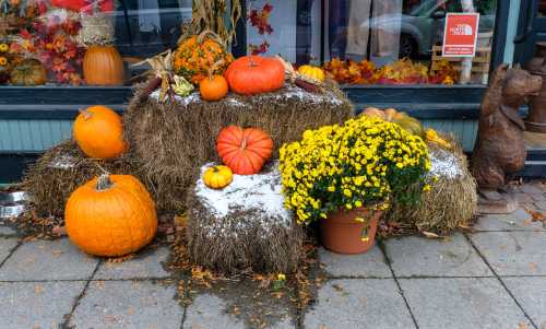 A display of pumpkins and yellow chrysanthemums on hay bales, surrounded by autumn leaves and a bear statue.