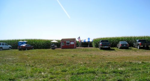 A small red building with flags, surrounded by cornfields and parked vehicles on a sunny day.