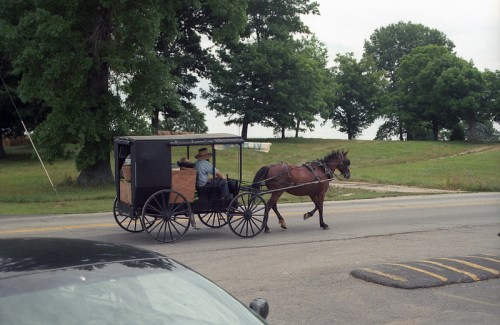 A horse-drawn carriage travels down a rural road, with a driver seated inside, surrounded by green trees.
