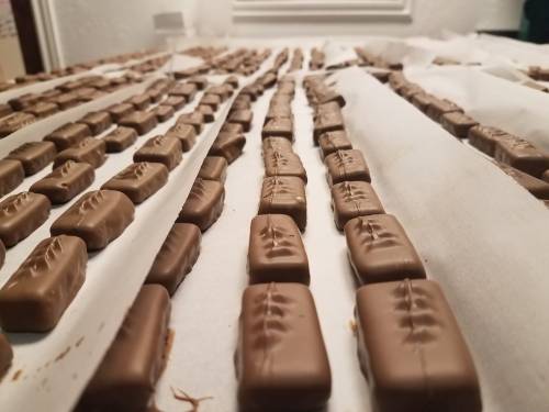 Rows of chocolate bars arranged on parchment paper, showcasing their smooth, shiny surfaces.