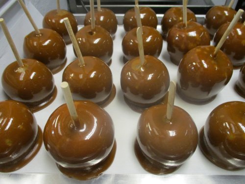 A tray of shiny caramel apples with wooden sticks, arranged in neat rows.