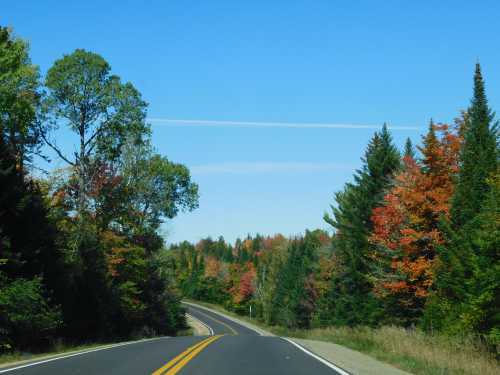 A winding road surrounded by vibrant autumn trees under a clear blue sky.