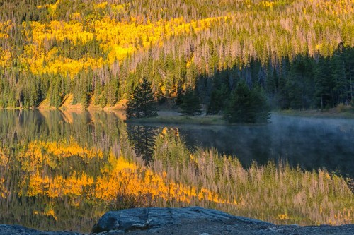 A serene lake reflecting vibrant autumn foliage and evergreen trees, surrounded by misty morning light.