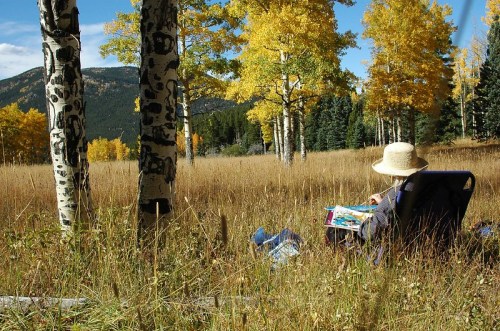 A person in a straw hat sits in a field, painting surrounded by tall grass and vibrant autumn trees.