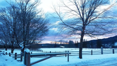 A serene winter landscape with snow-covered trees, a wooden fence, and a pastel sky at dusk.
