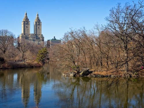 A serene view of a lake with bare trees, reflecting two tall buildings against a clear blue sky.