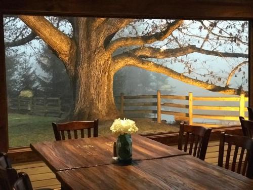 A cozy dining area with a wooden table and chairs, framed by a large tree and a foggy outdoor scene.