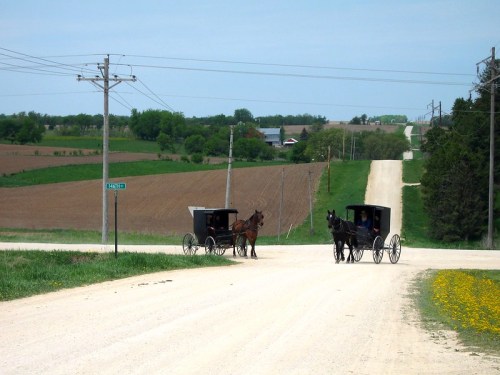 Two horse-drawn buggies cross at a rural intersection, surrounded by fields and trees under a clear sky.