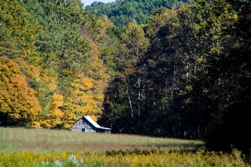 A rustic cabin nestled among colorful autumn trees in a serene landscape.