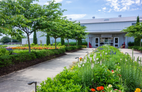 A pathway lined with colorful flowers leads to a modern building surrounded by greenery under a blue sky.