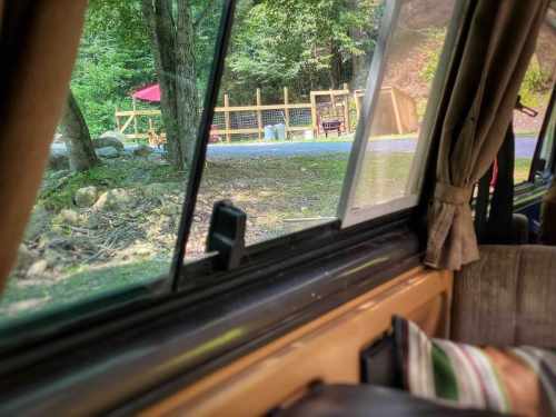 View from inside a vehicle, showing trees and a fenced area in the background with a glimpse of outdoor structures.