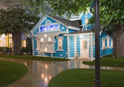 A whimsical blue house surrounded by greenery, featuring a bright facade and playful architectural details.
