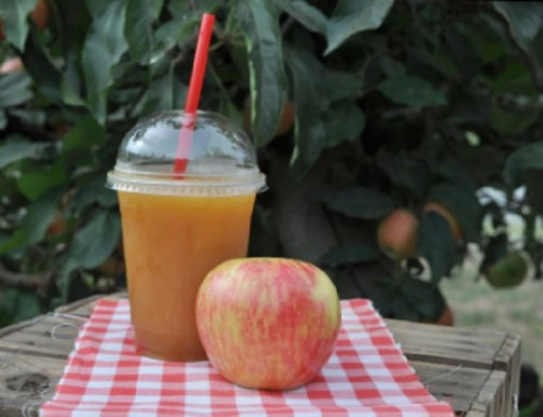 A clear cup of apple juice with a red straw next to a fresh apple, set on a red and white checkered cloth.