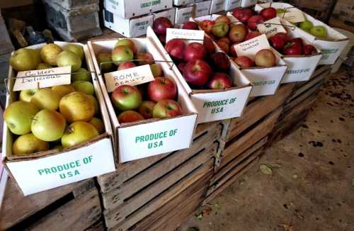 Boxes of apples and pears labeled "Produce of USA," arranged on wooden crates in a market setting.