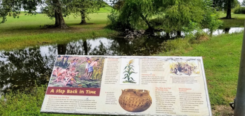 A sign titled "A Step Back in Time" near a pond, featuring illustrations and information about historical practices.