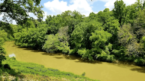 A serene river flows through lush green trees under a partly cloudy sky.