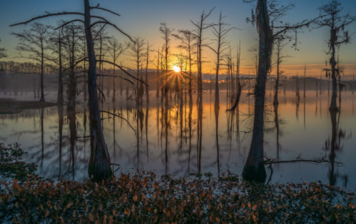 Sunrise over a tranquil lake, with silhouetted trees reflecting in the water and mist rising in the early morning light.